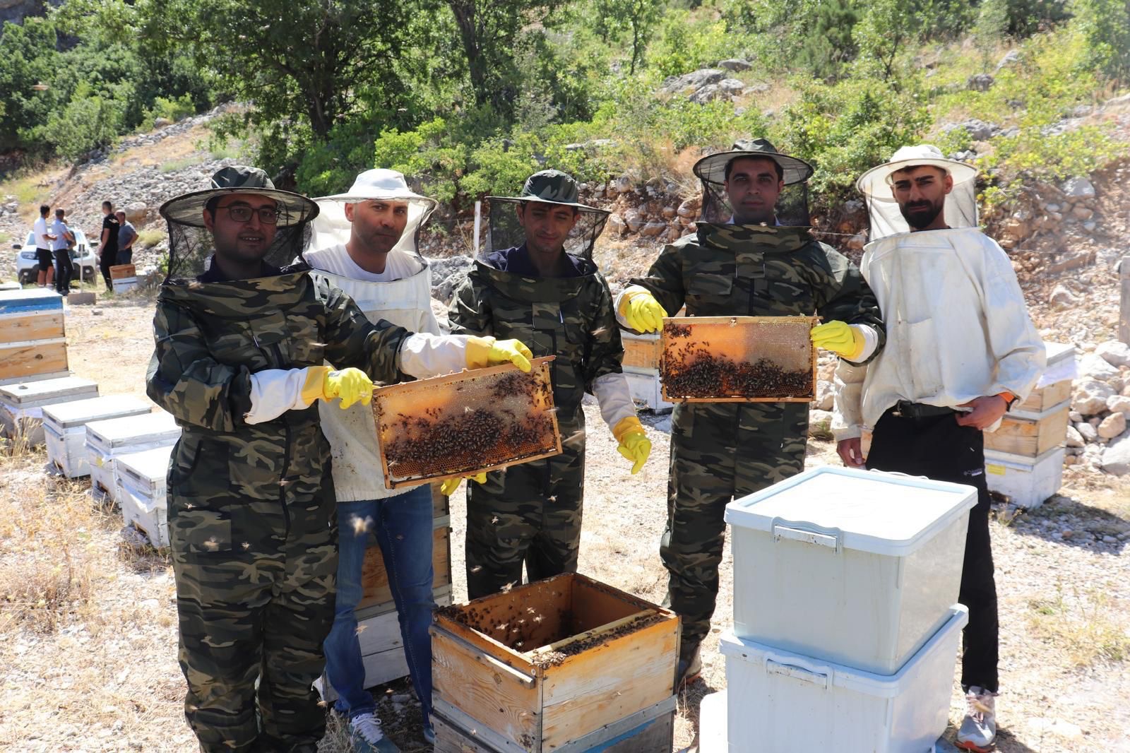 Kemah Bal Hasadı (4)