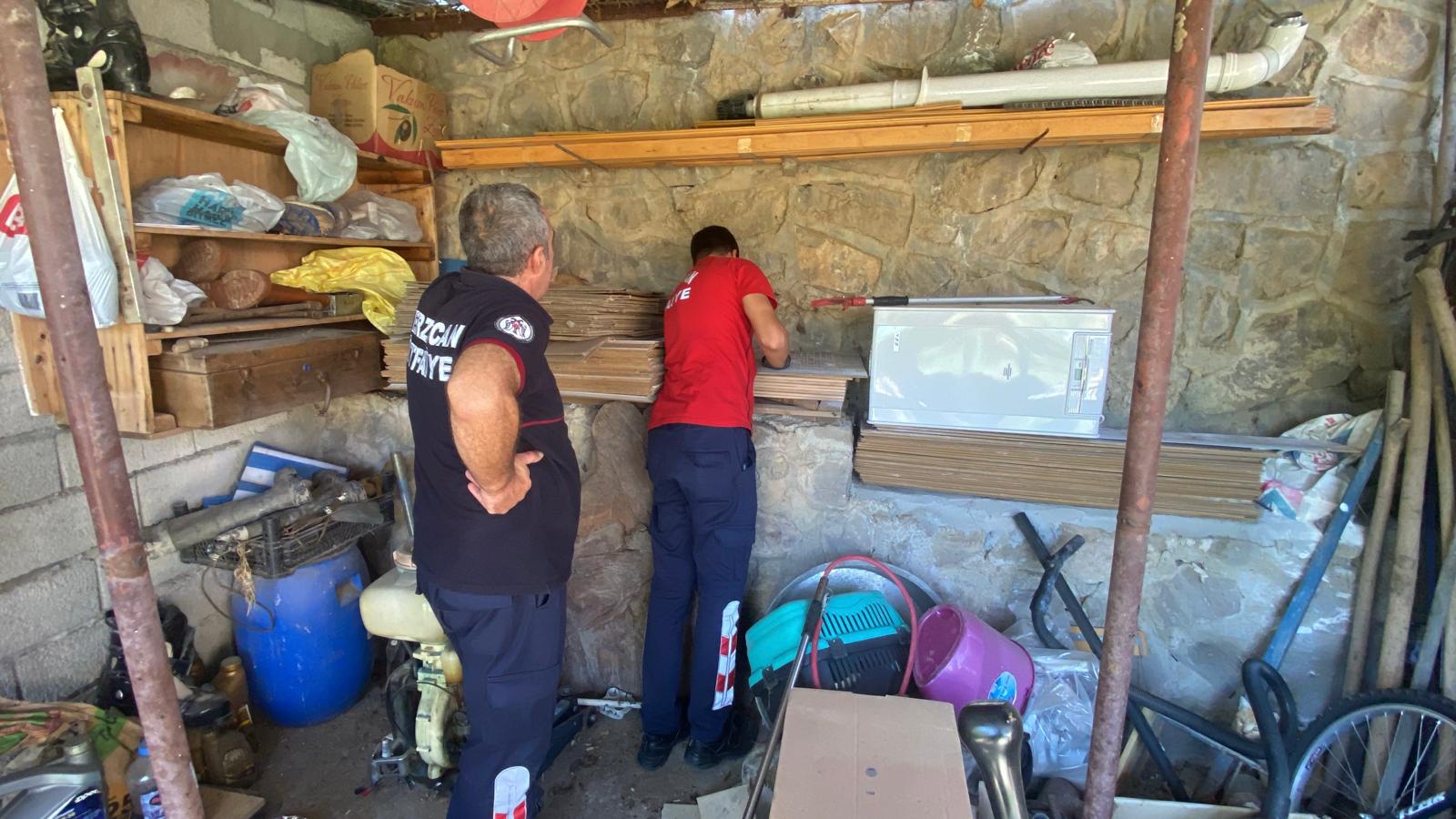 Yaylabaşı Kedi Kurtarma (4)
