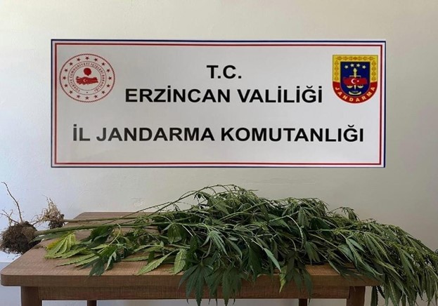 Erzincan Jandarma Operasyon (1)