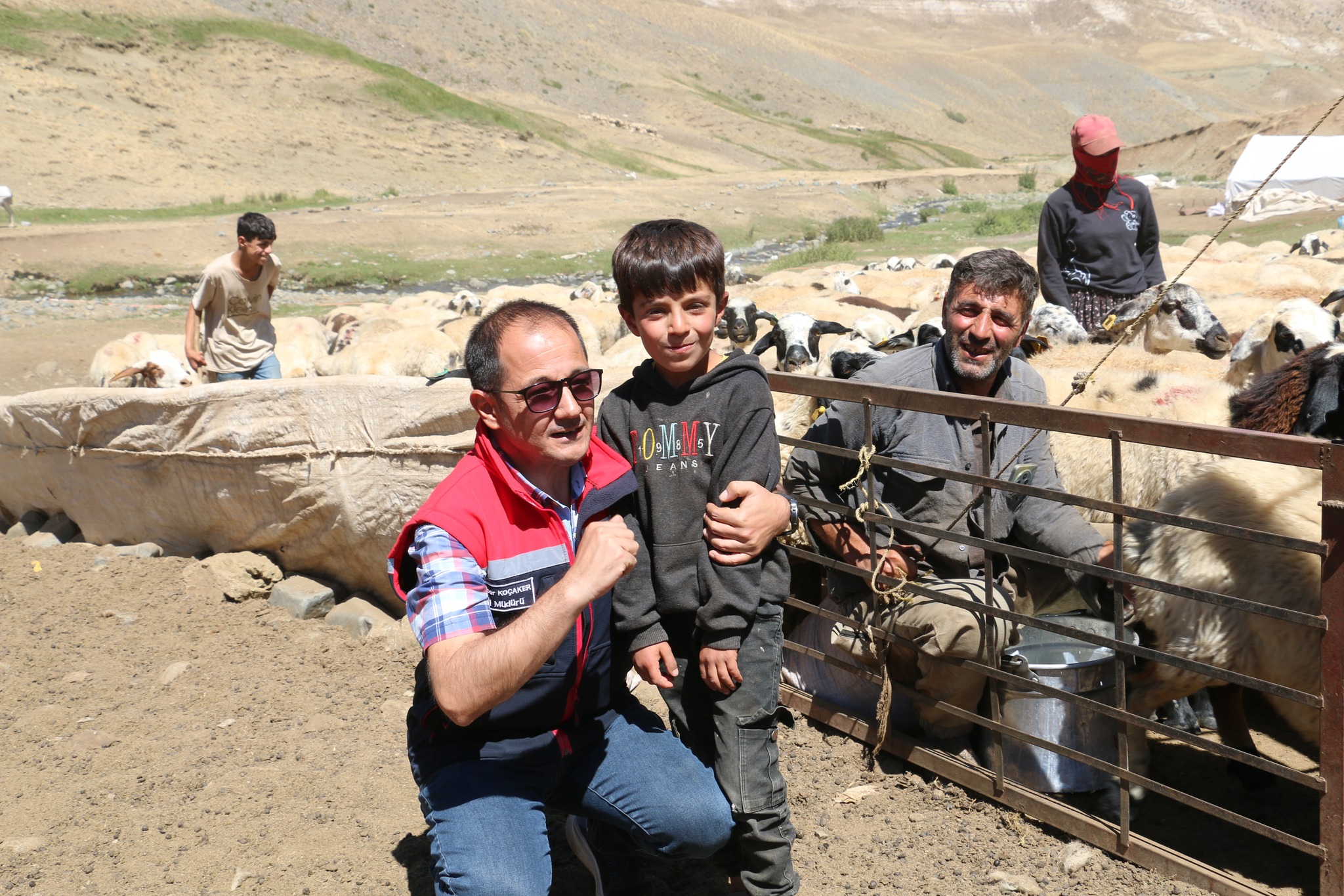 Erzincan Yaylalarının Masum Çiçekleri (10)