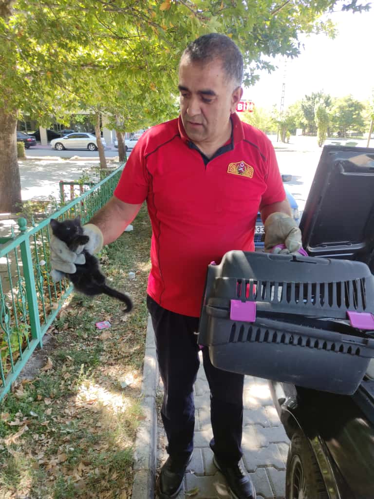 Erzincan’da Motora Sıkışan Yavru Kedi Kurtarıldı (1)