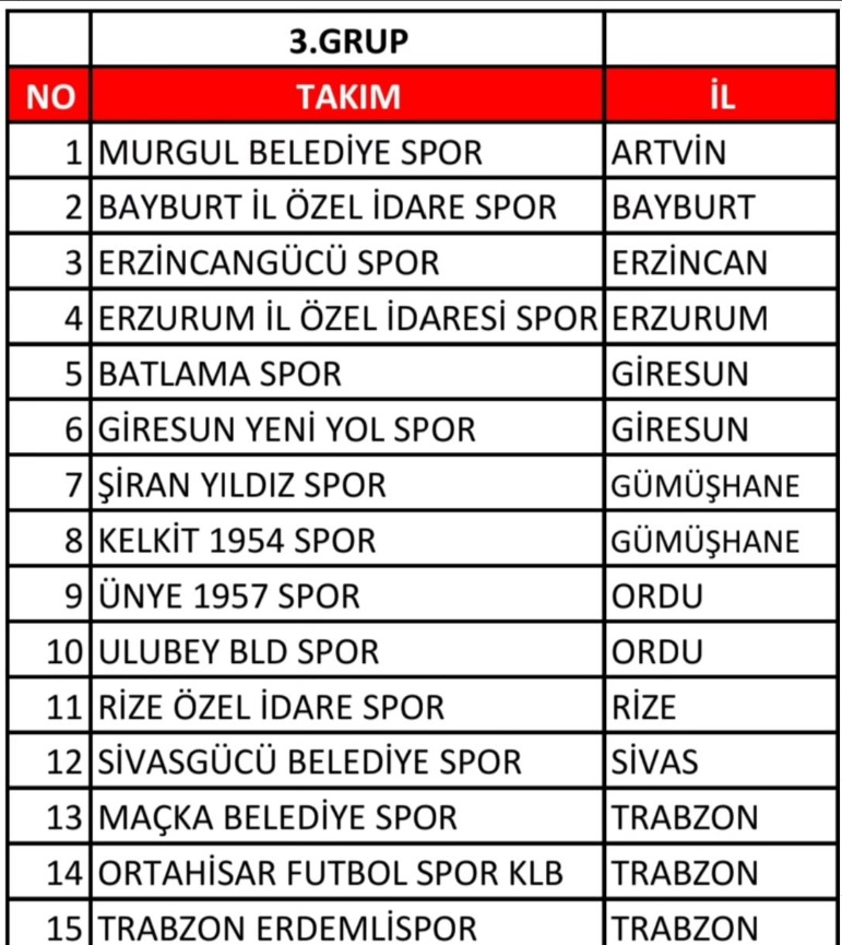 Erzincangücü Bal Lig 1