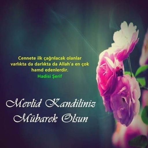 Mevlit Kandili 2025 6