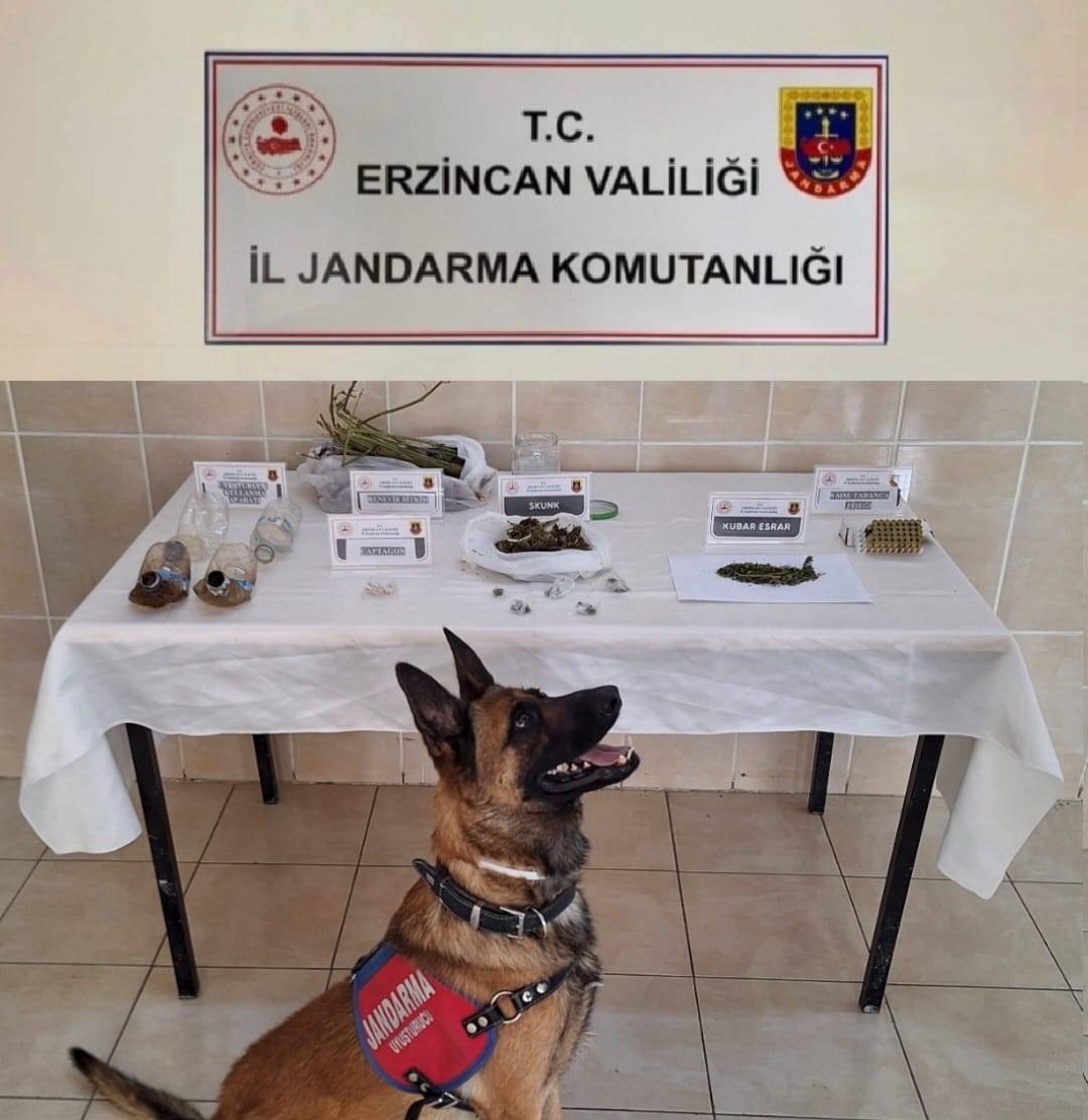 Erzincan Jandarma Operasyon (2)-1