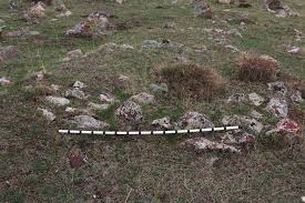 Erzincan Üzümlü Demirpınar Köyü Kurgan Alanı 1