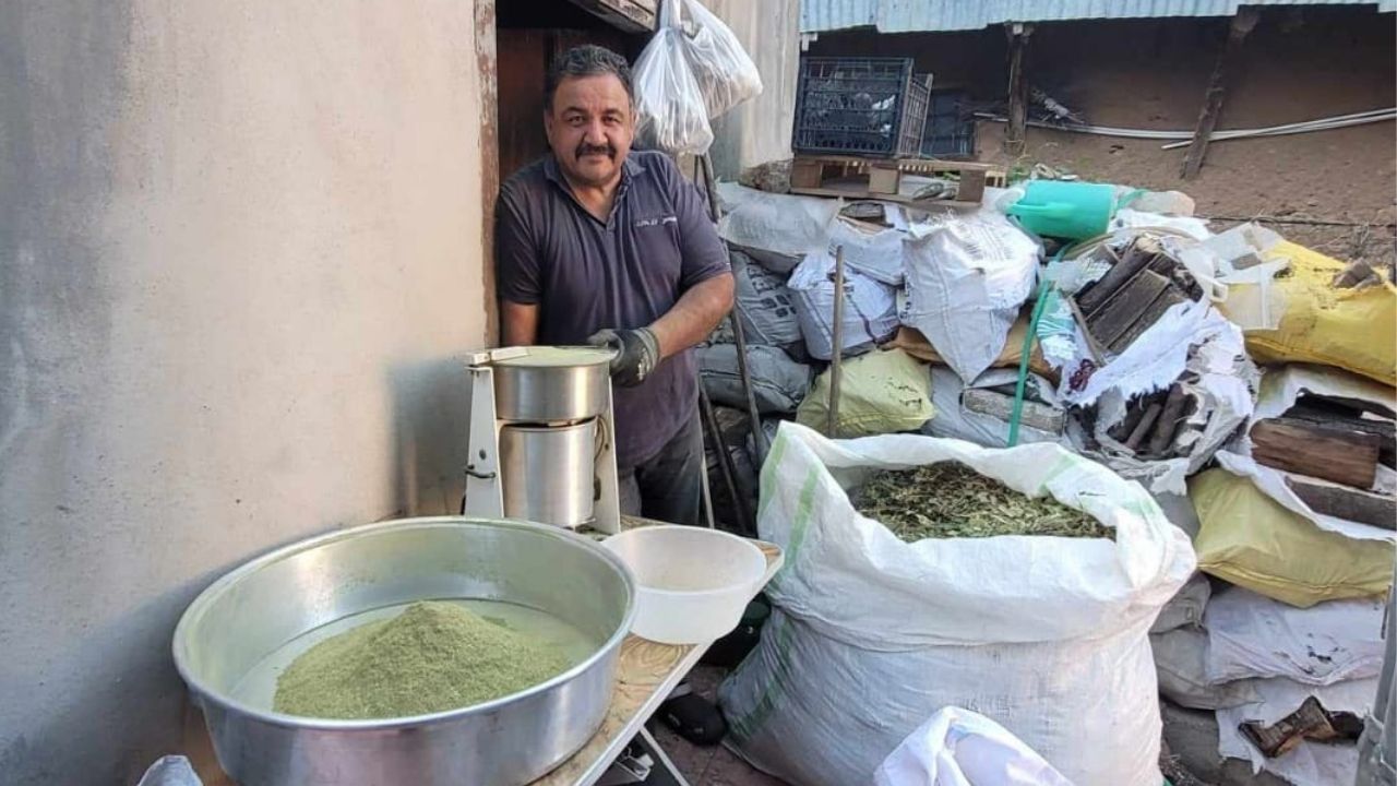 Erzincan’da Üretilen Şifalı Baharat 120 Bitki Karışımdan Yapılıyor 1