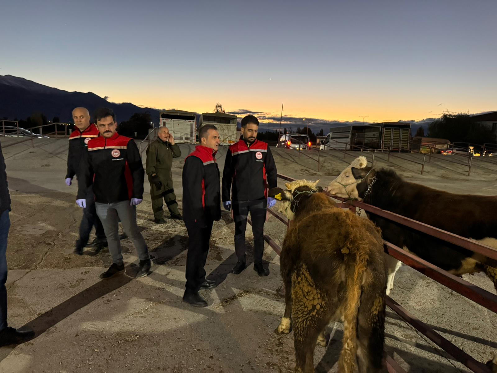 Hayvan Pazarı Açıldı (11)