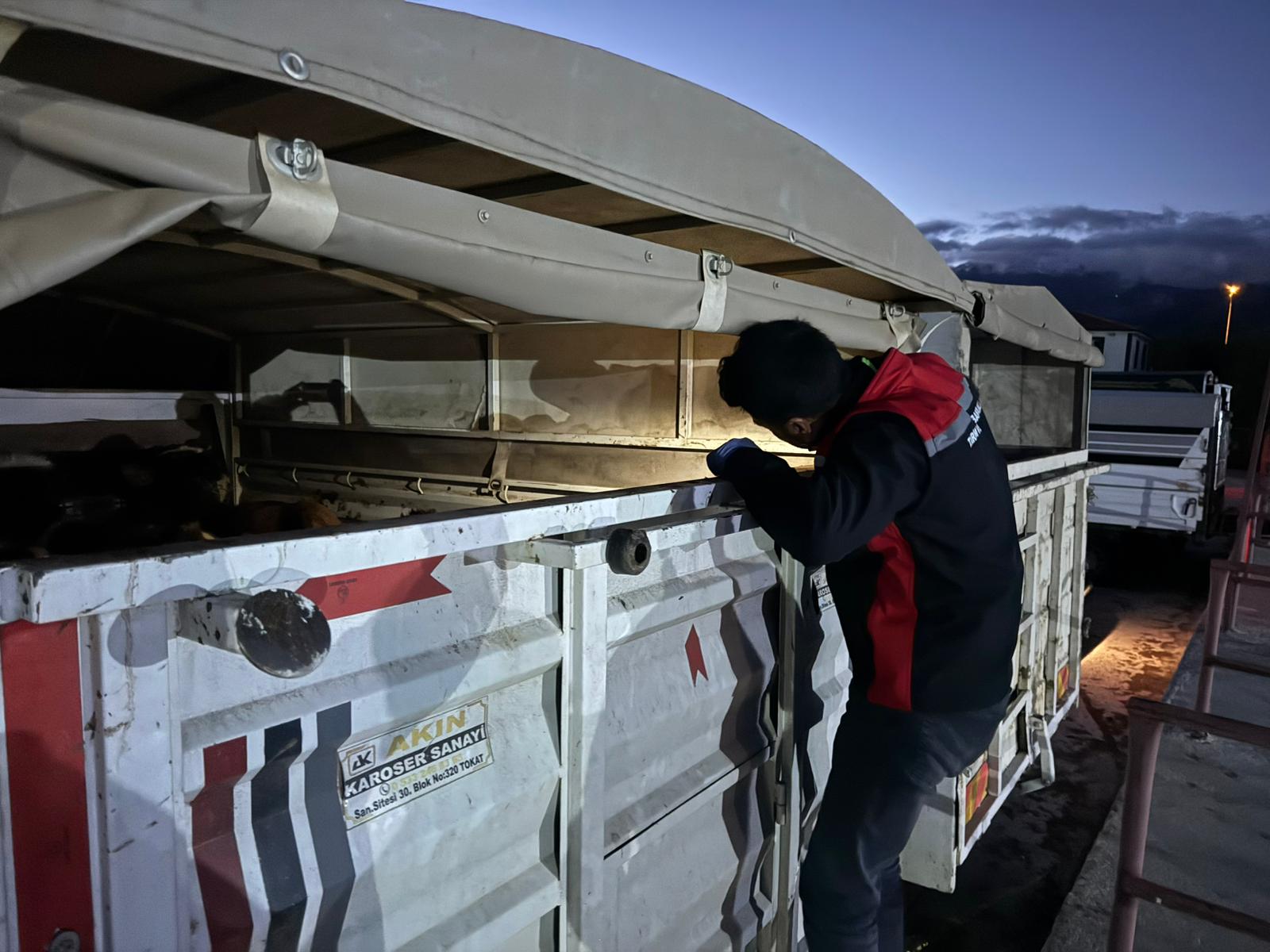 Hayvan Pazarı Açıldı (2)