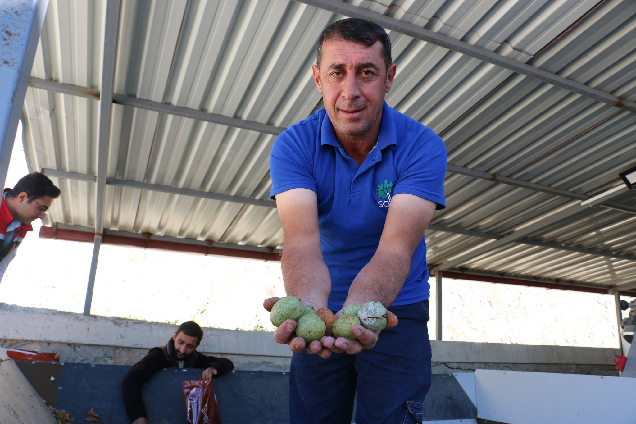Kemah Ceviz Bal Sera (12)-1