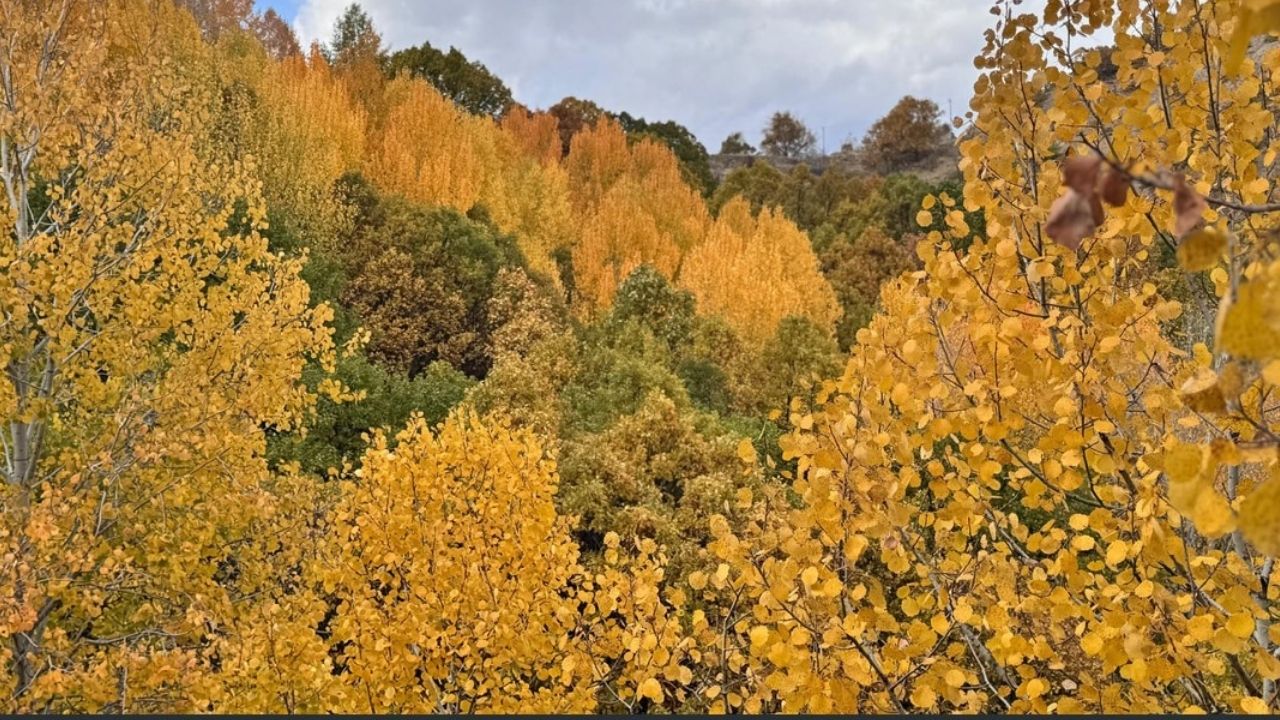 Salördek Köyü Manzaraları 2