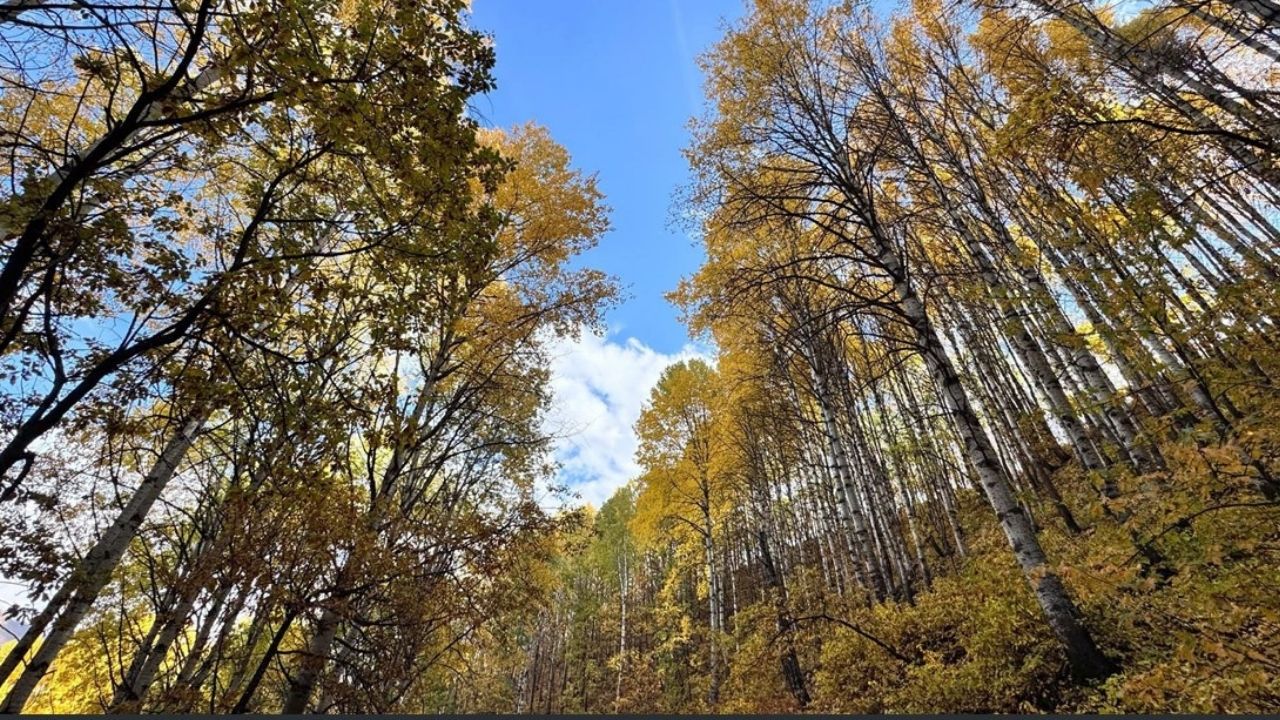 Salördek Köyü Manzaraları