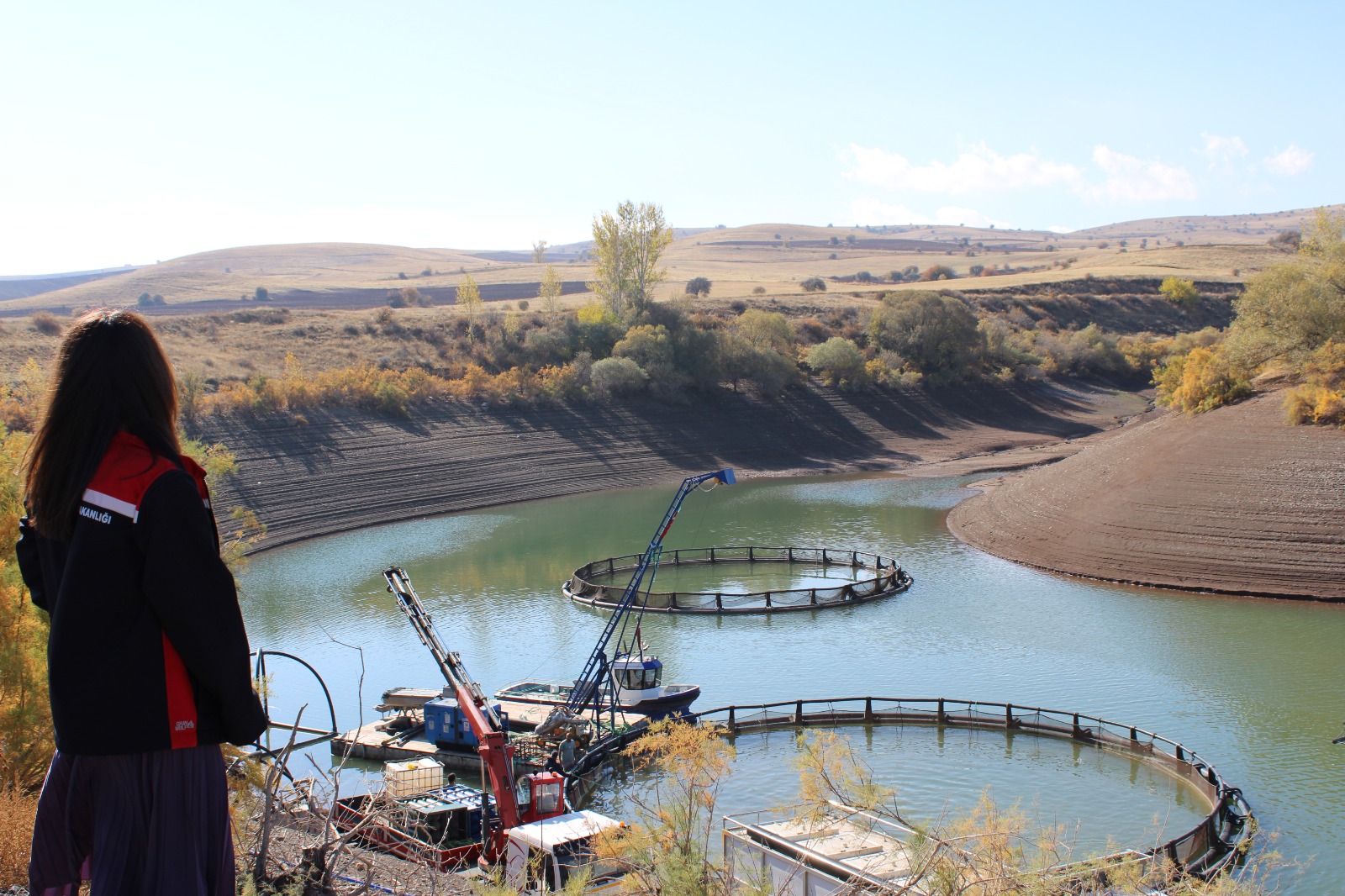 Tercan Balık Üretimi (8)