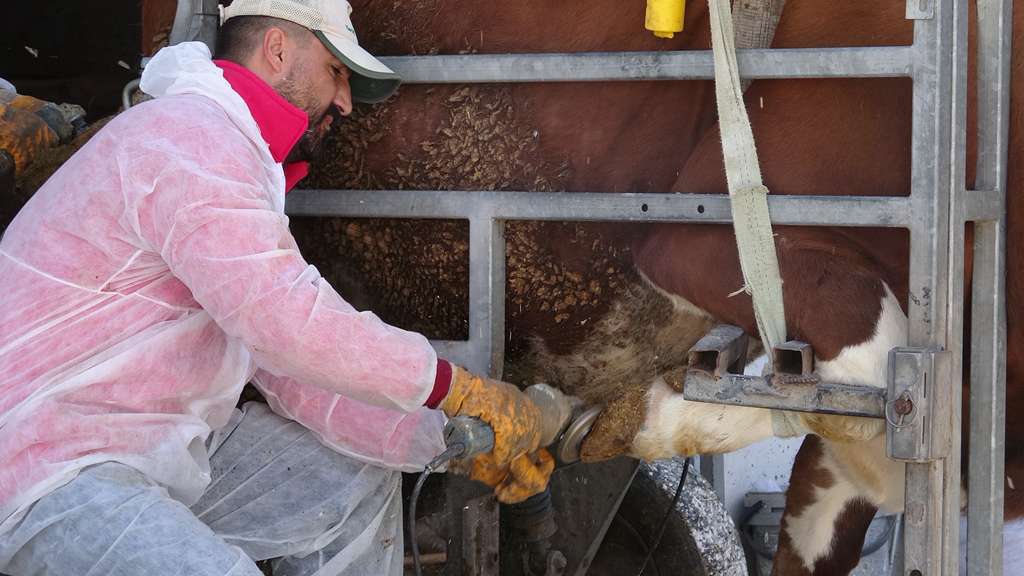 Tırnak Bakım Hizmeti (2)