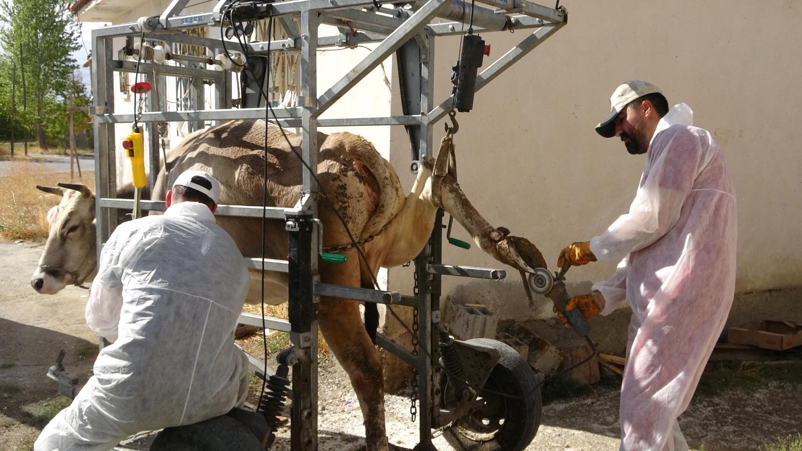 Tırnak Bakım Hizmeti (3)