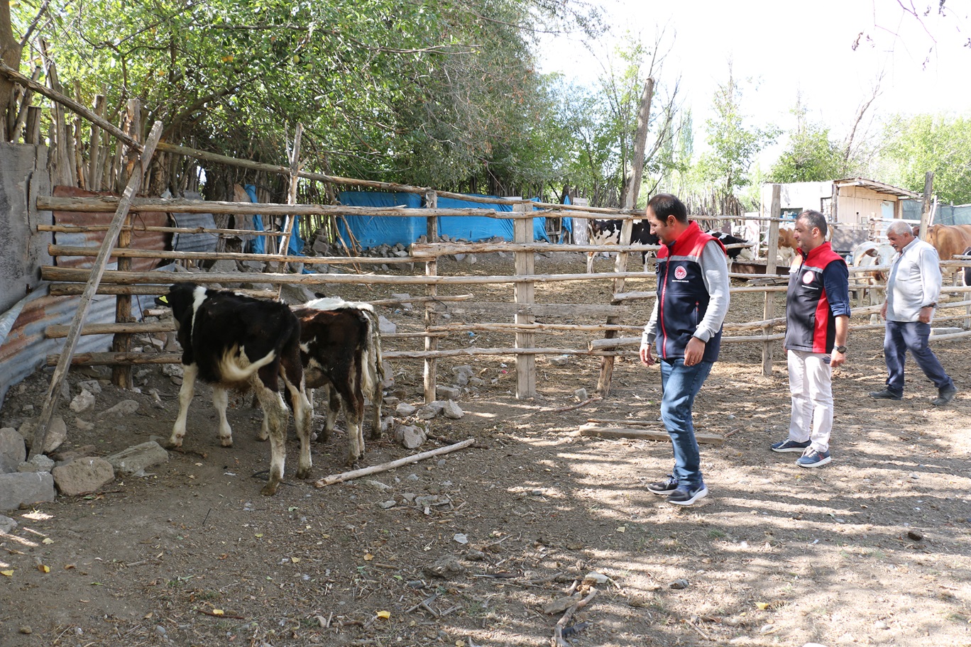 Uzman Eller Erzincan (3)