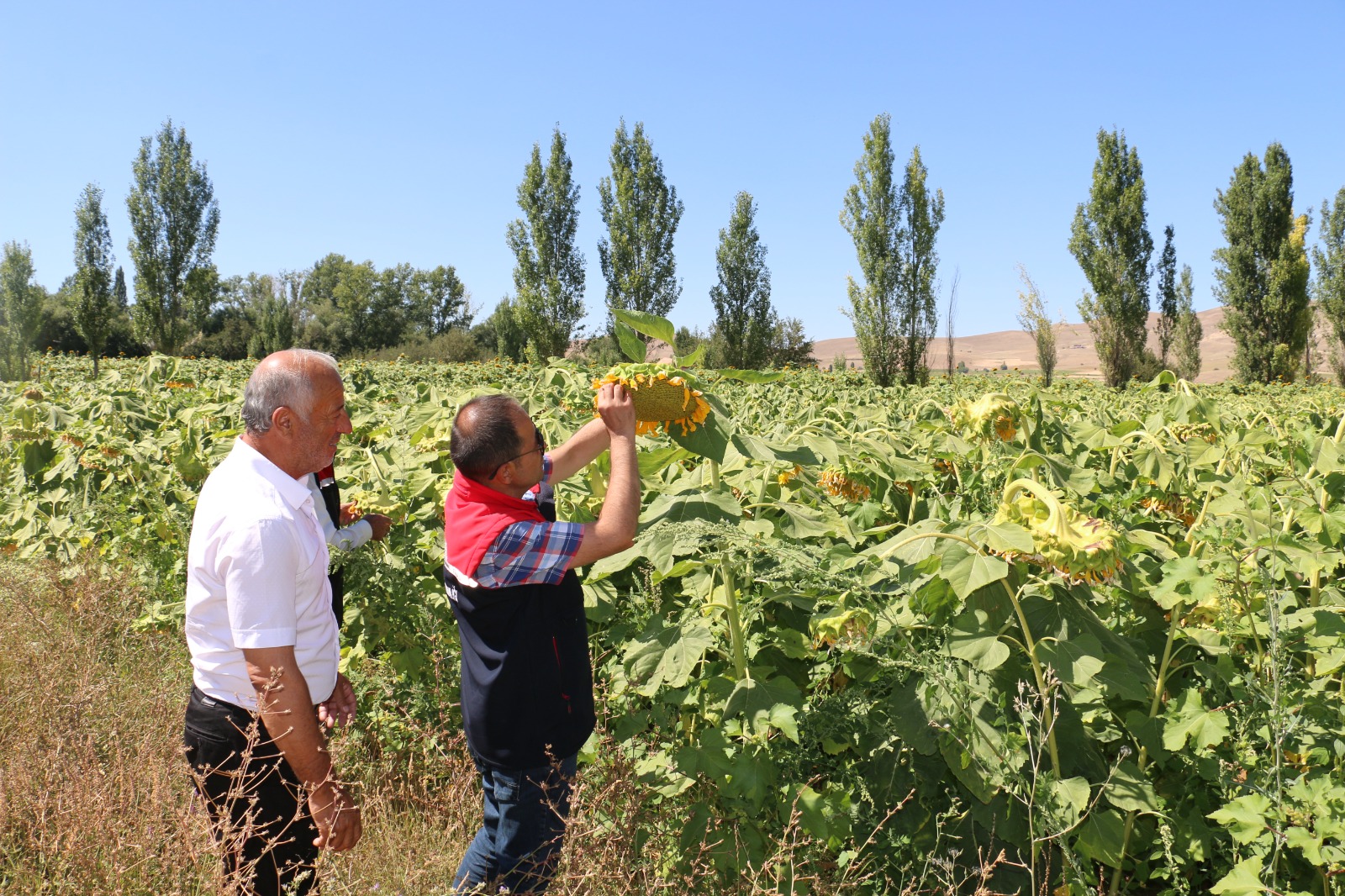 Çks Başvuruları (2)