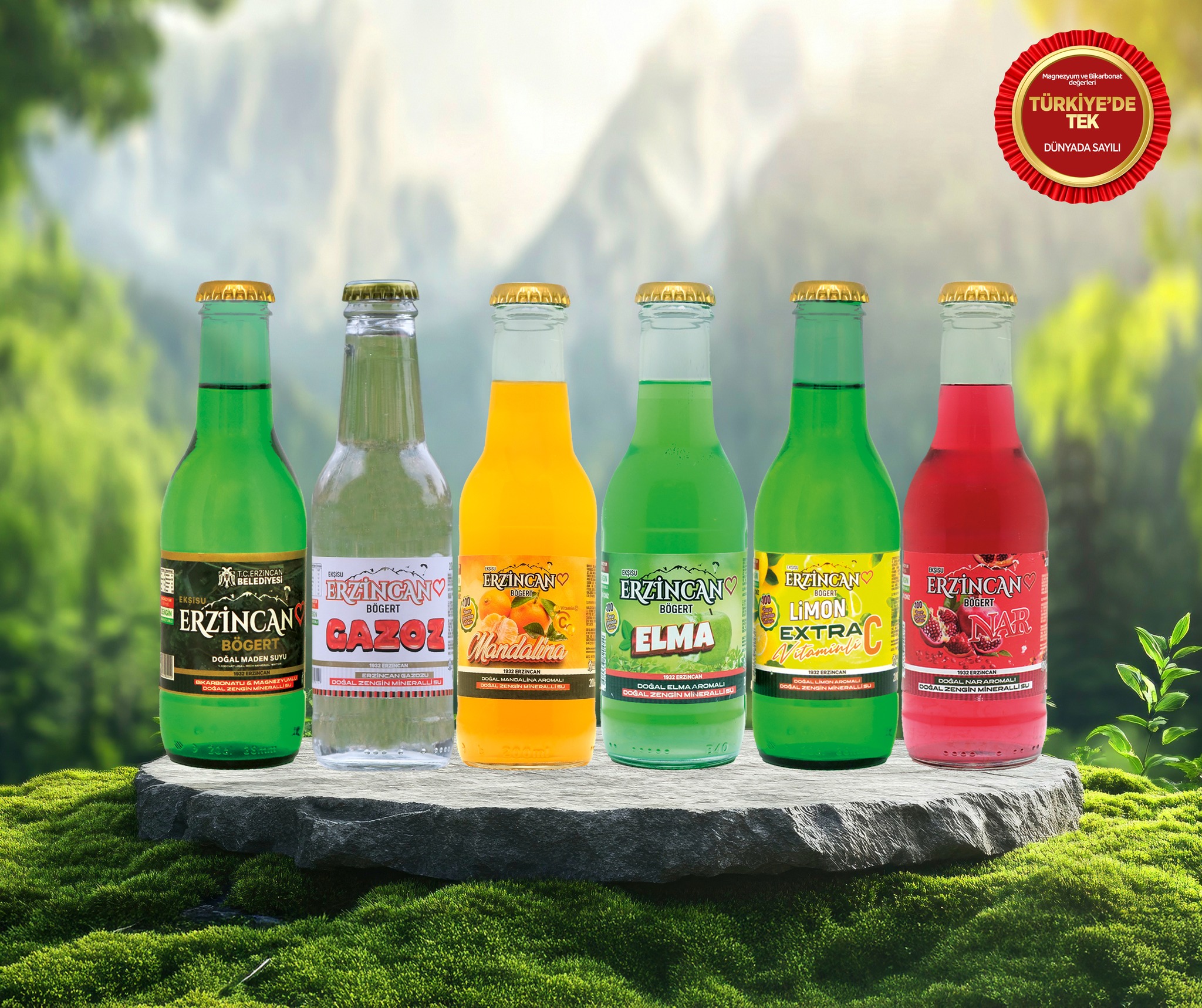 Erzincan Bögert Gazoz (1)