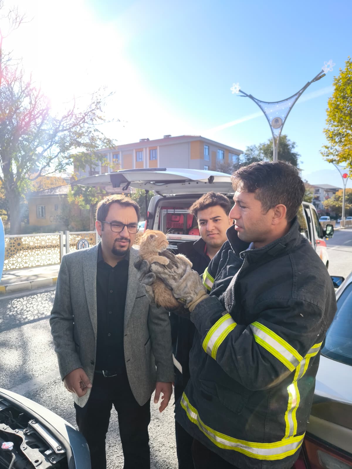 Erzincan’da Kedi Kurtarma Operasyonu (1)