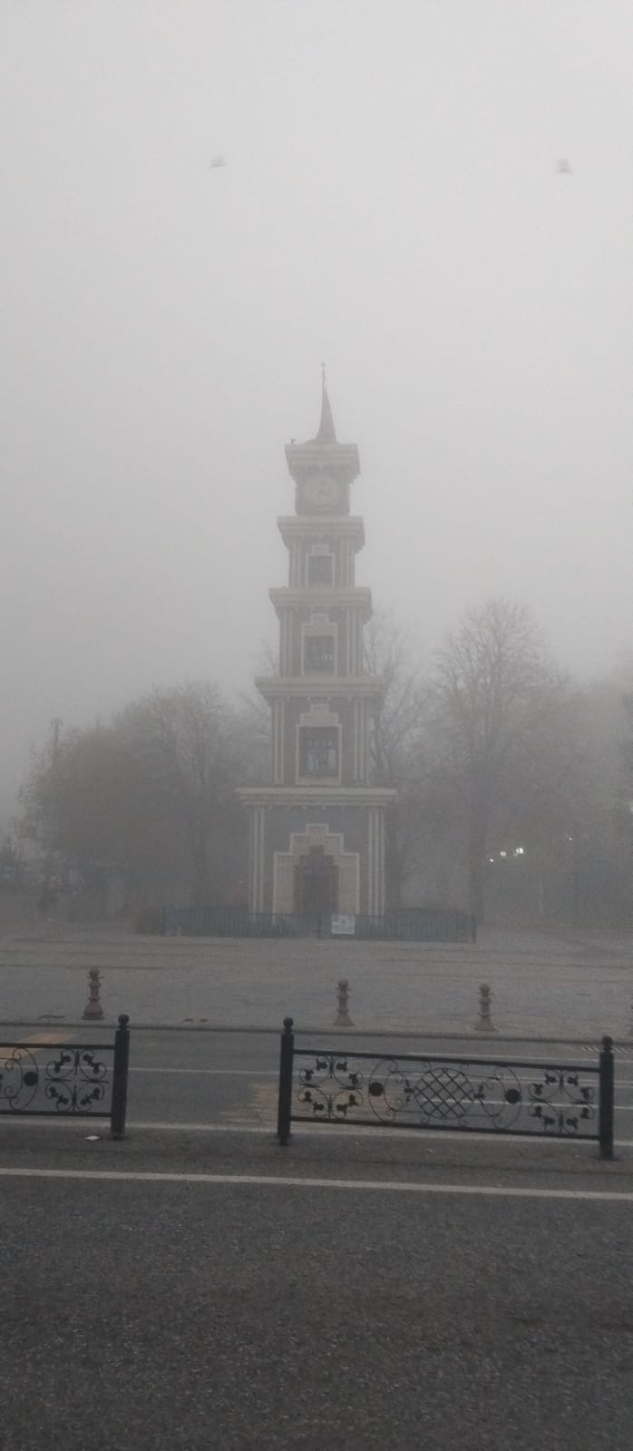 Erzincanda Yoğun Sis (5)