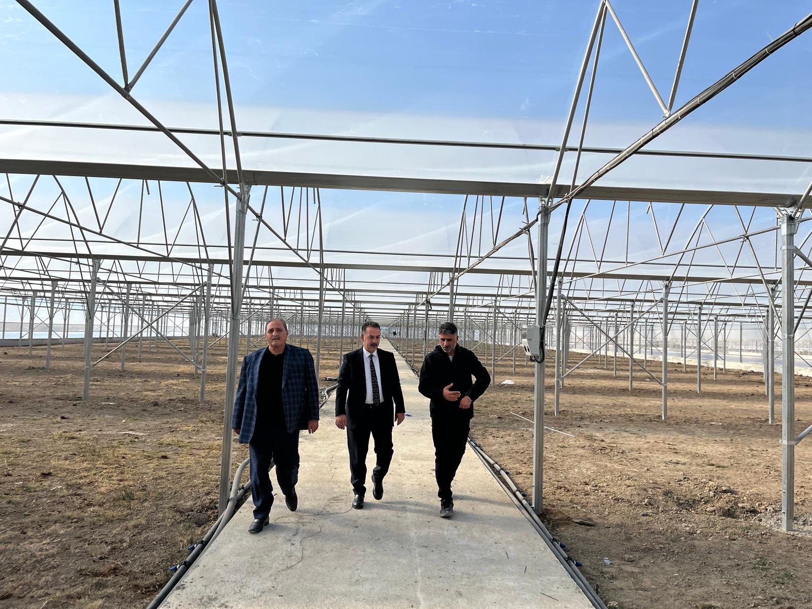 Toplu Sera Bölgesi Inceleme (3)