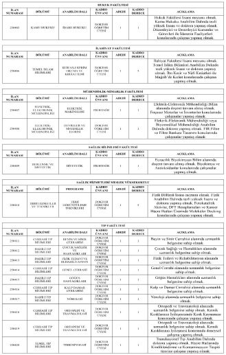 Ebyü Öğretim Üyesi Alımı 3