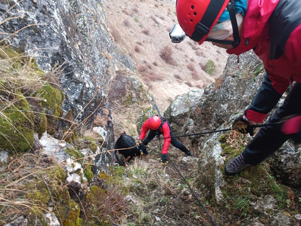 Erzincan Jak Timinden Nefes Kesen Operasyon (1)