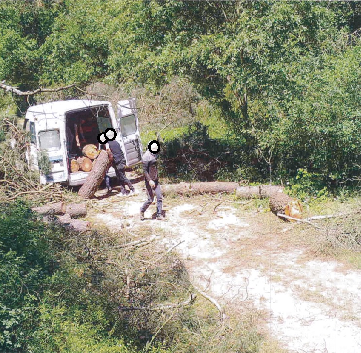 Orman Kaçak Kesimlere Sıkı Denetim (4)