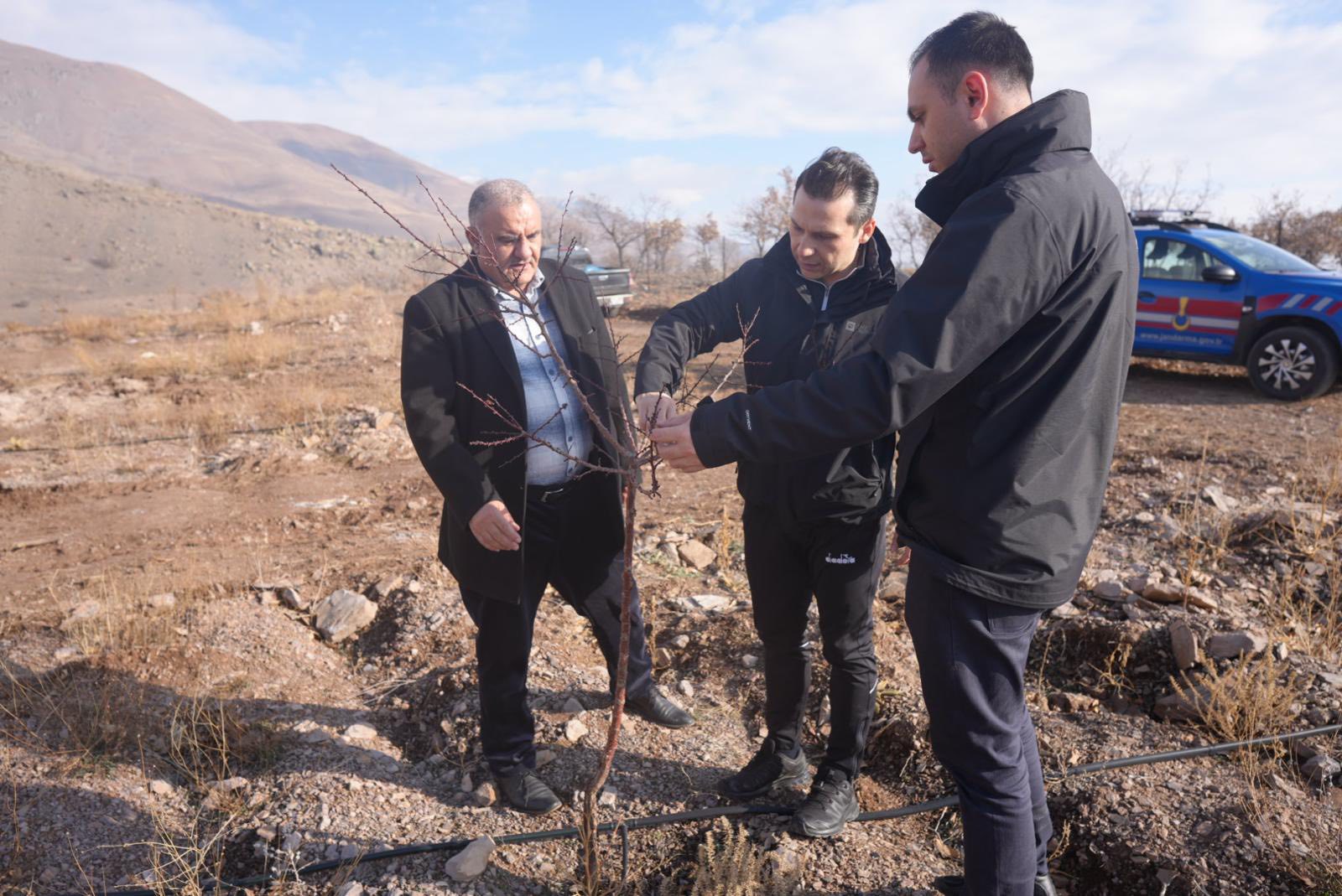 Üzümlüd Tarımda Yeni Denemeler (1)