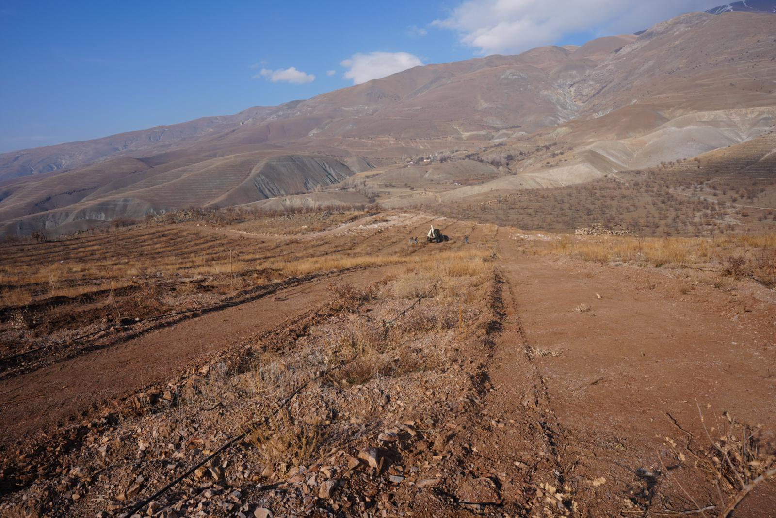 Üzümlüd Tarımda Yeni Denemeler (3)