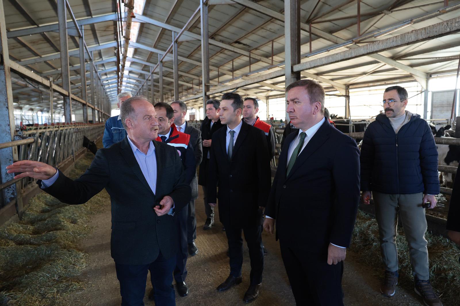 Vali Aydoğdu Süt Işletmesi Ziyareti (2)