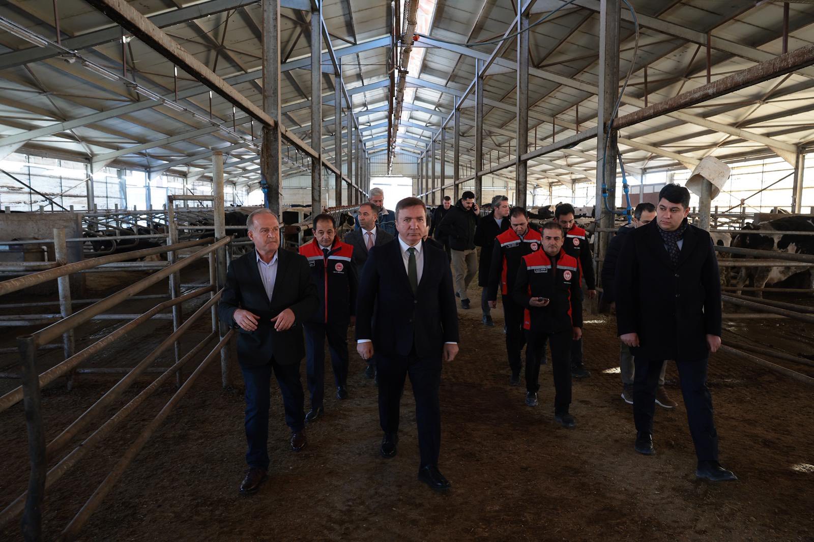 Vali Aydoğdu Süt Işletmesi Ziyareti (5)