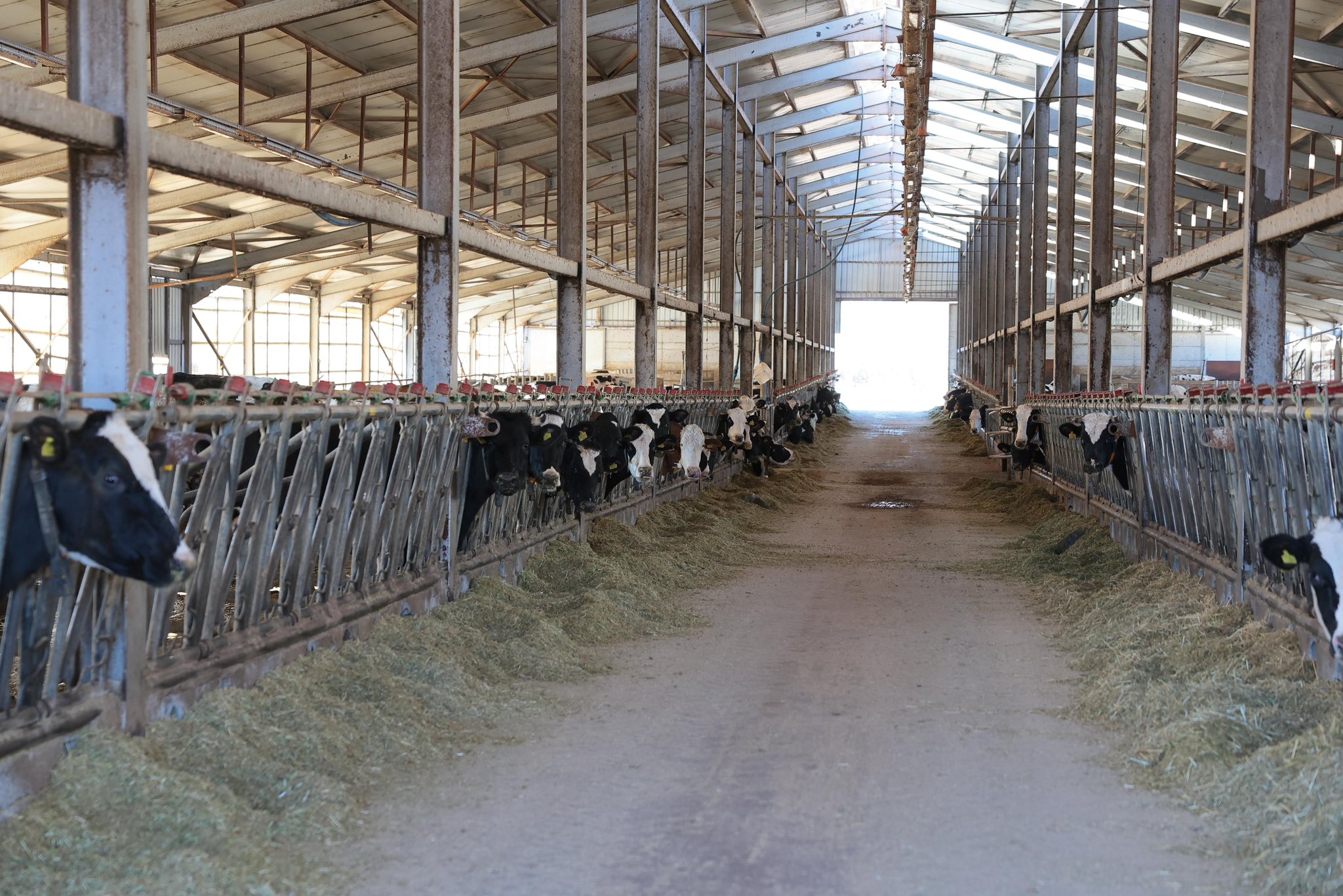 Vali Aydoğdu Süt Işletmesi Ziyareti (7)