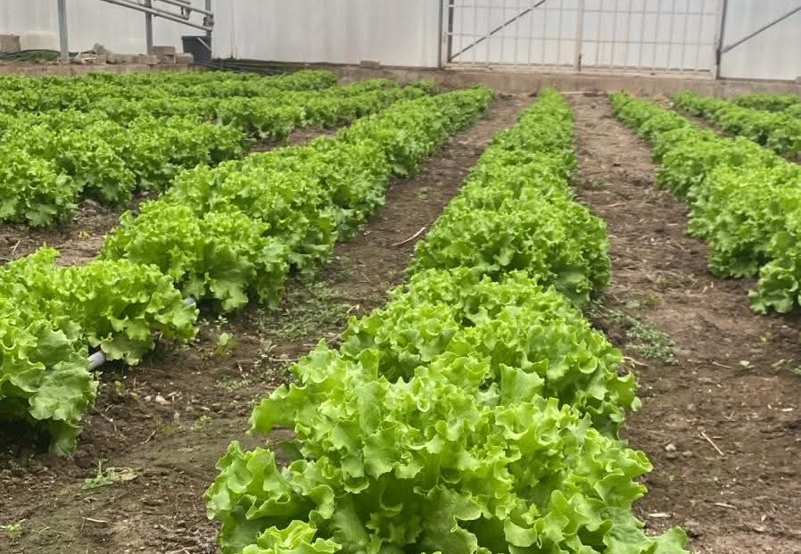 Whatsapp Görsel 2025 12 08 Saat 17.05.11 21A8Daa3