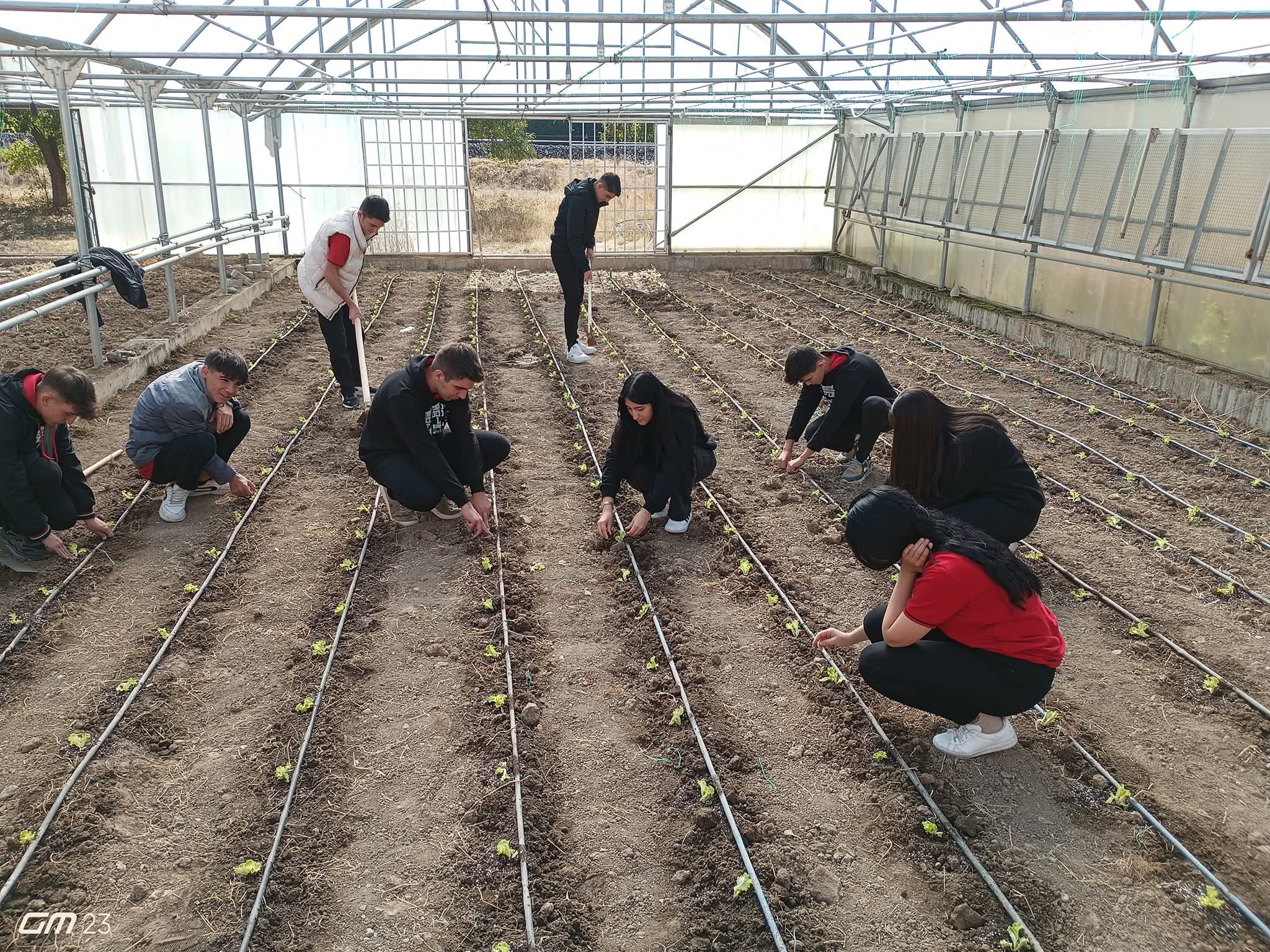 Whatsapp Görsel 2025 12 08 Saat 17.23.54 C99Fa220