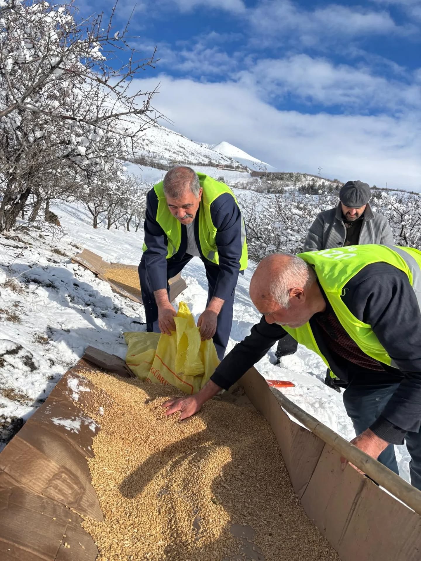 Belediye Başkanı Yakut Dağlara Yem Bıraktı (1)
