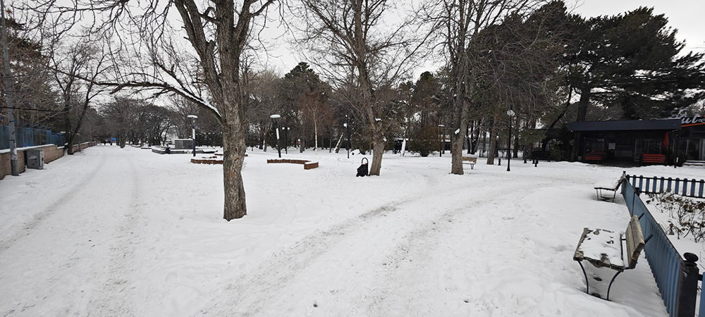 Erzincan’a Yani Bir Millet Bahçesi Planlanıyor. İşte Yeni Yeri 1