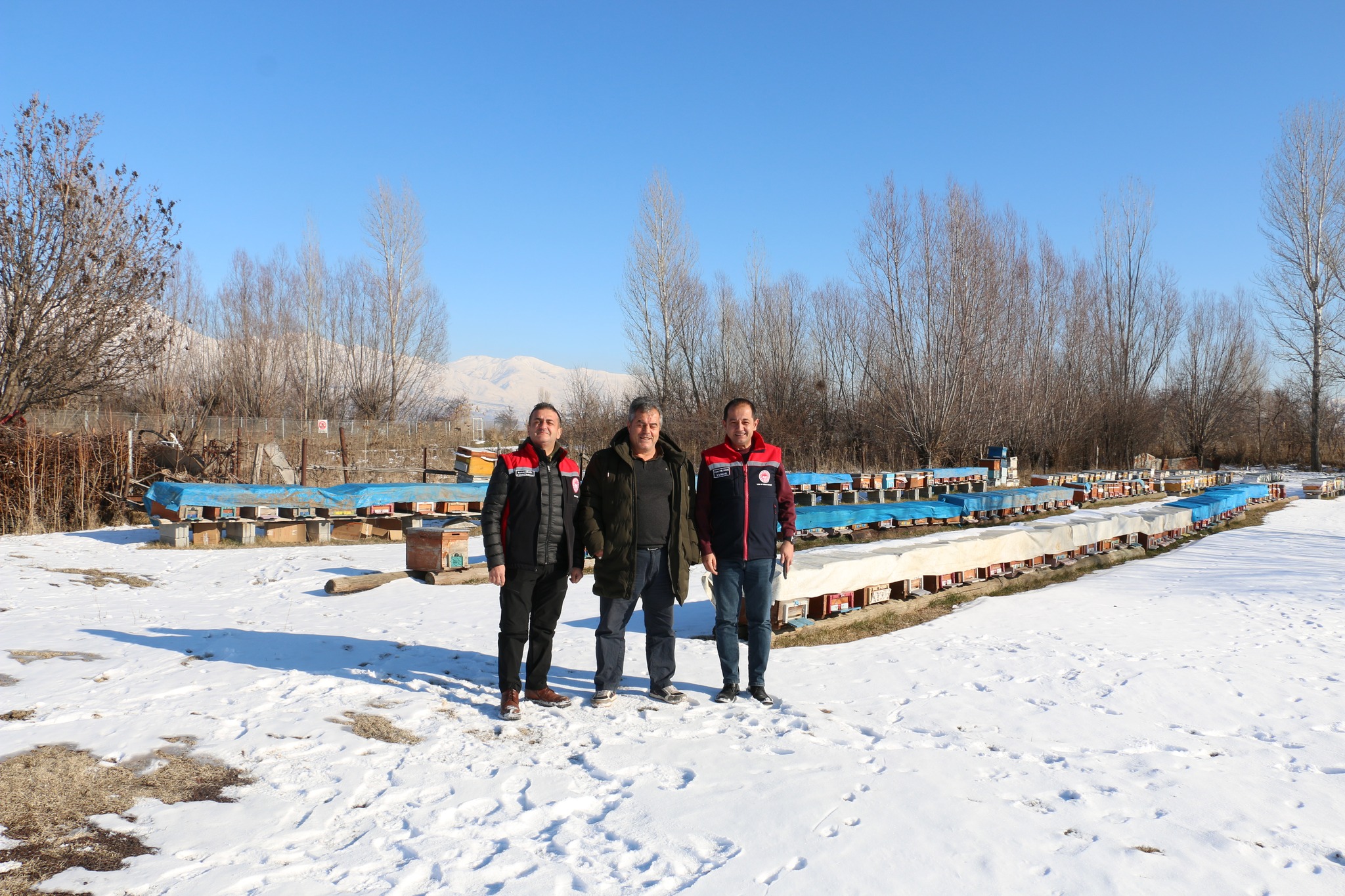 Erzincanda Arıcılık Ve Bal Üretimi (1)