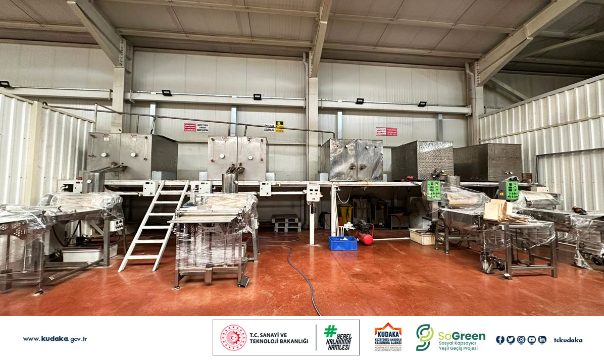 Erzincanda Yeşil Arıcılık Hamlesi (2)