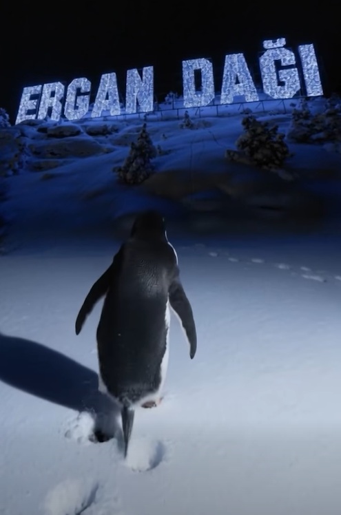 Penguen Erzincan Ergan