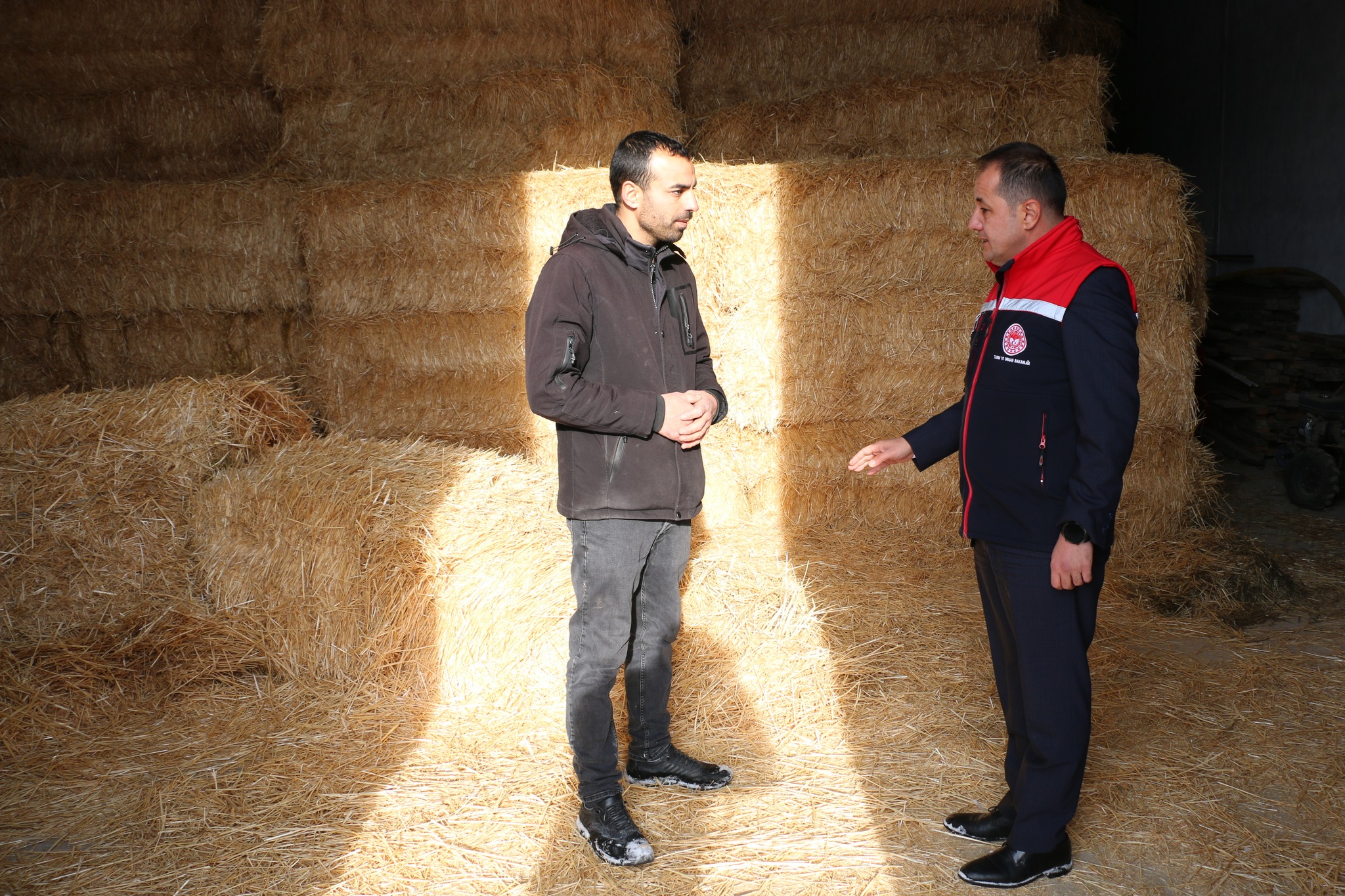 Üzümlü Hayvancılık Yatırımları (2)