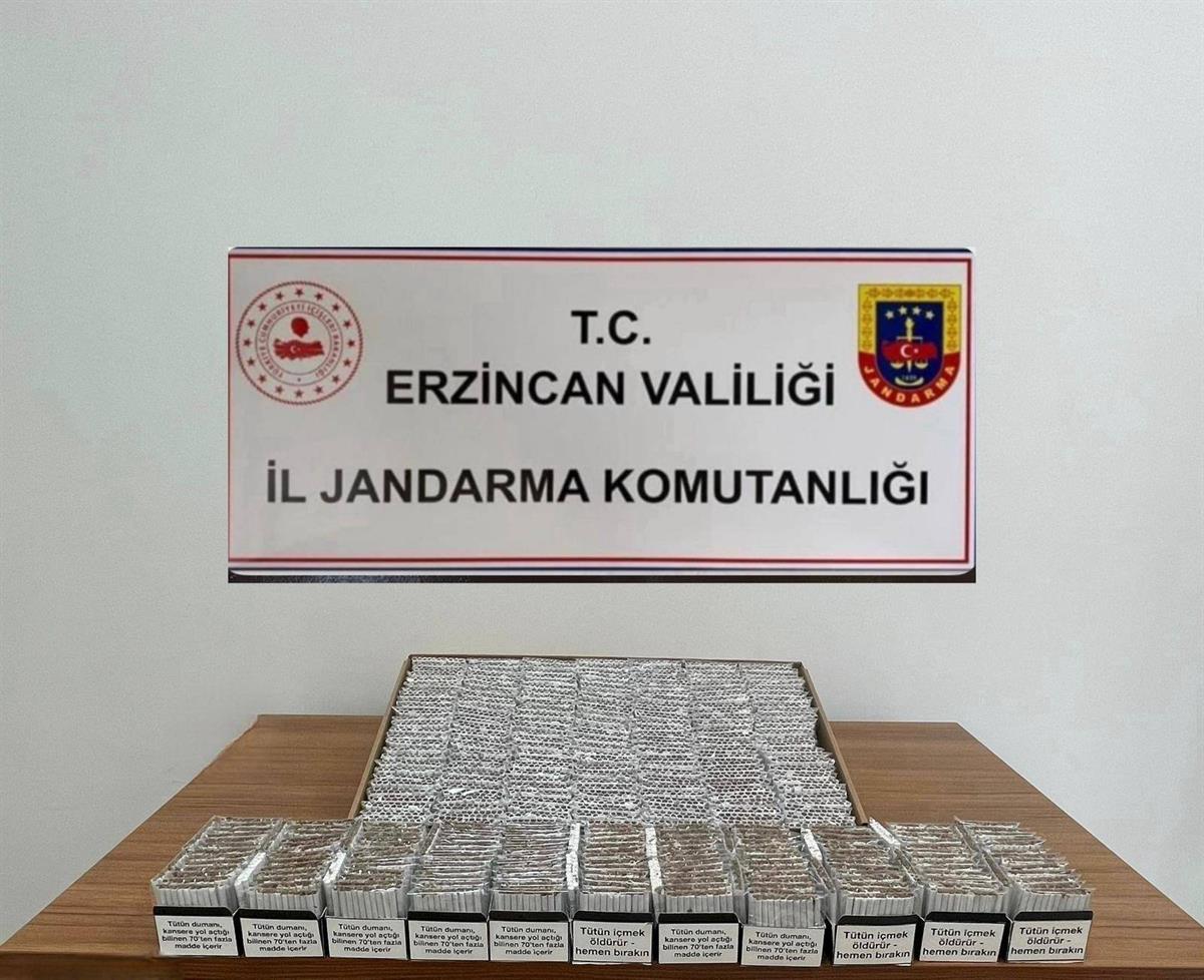 Erzincan Jandarma Operasyonları (2)-1