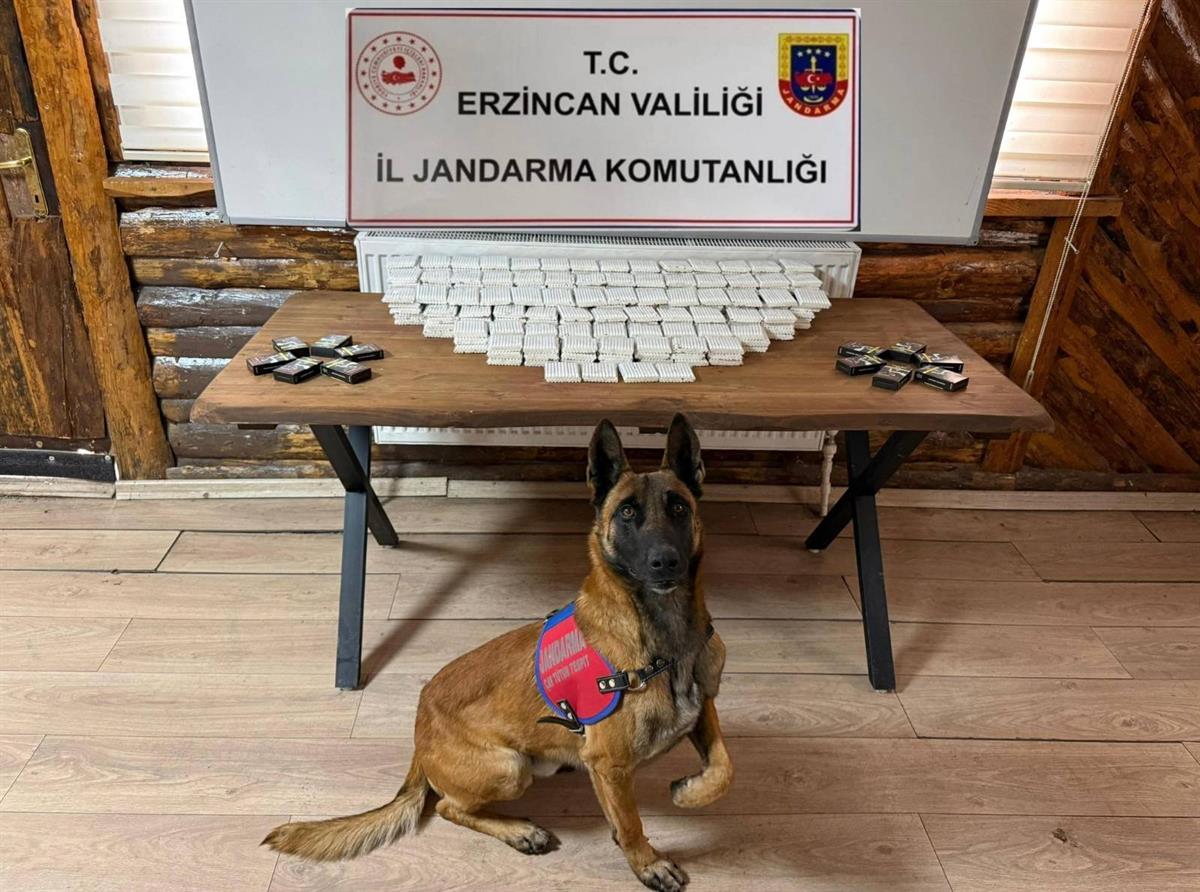Erzincan Jandarma Operasyonları (3)-1