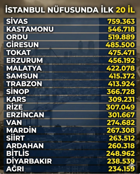 Istanbuldaki Erzincanlılar