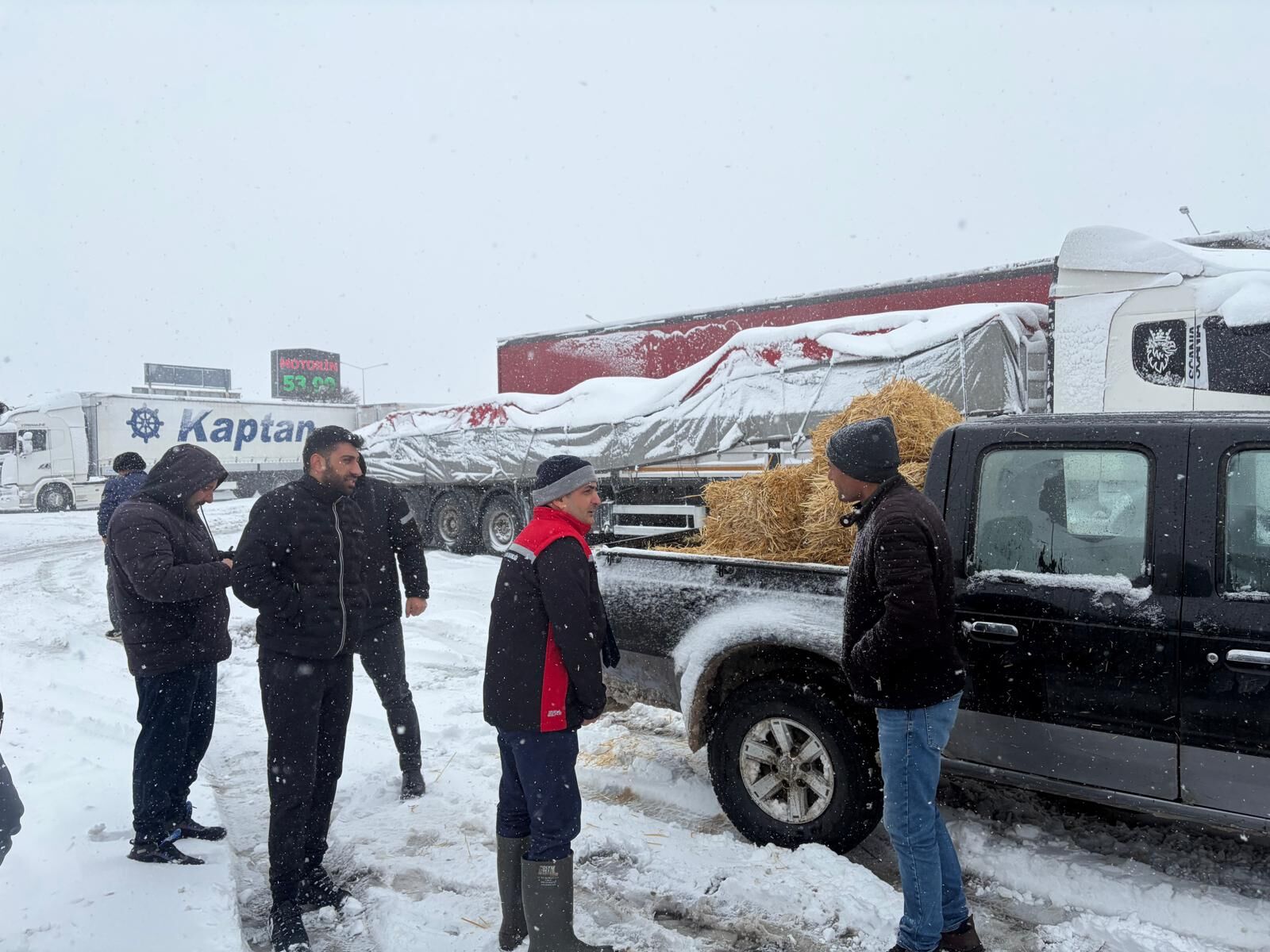Yolda Kalan Hayvanlara Yem Desteği (10)