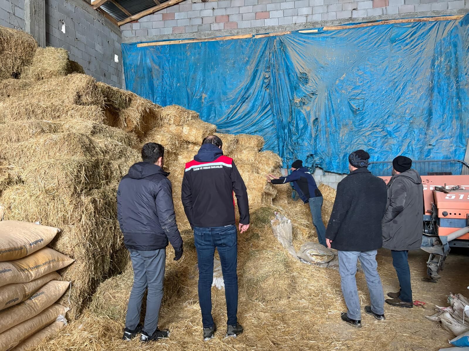 Yolda Kalan Hayvanlara Yem Desteği (13)