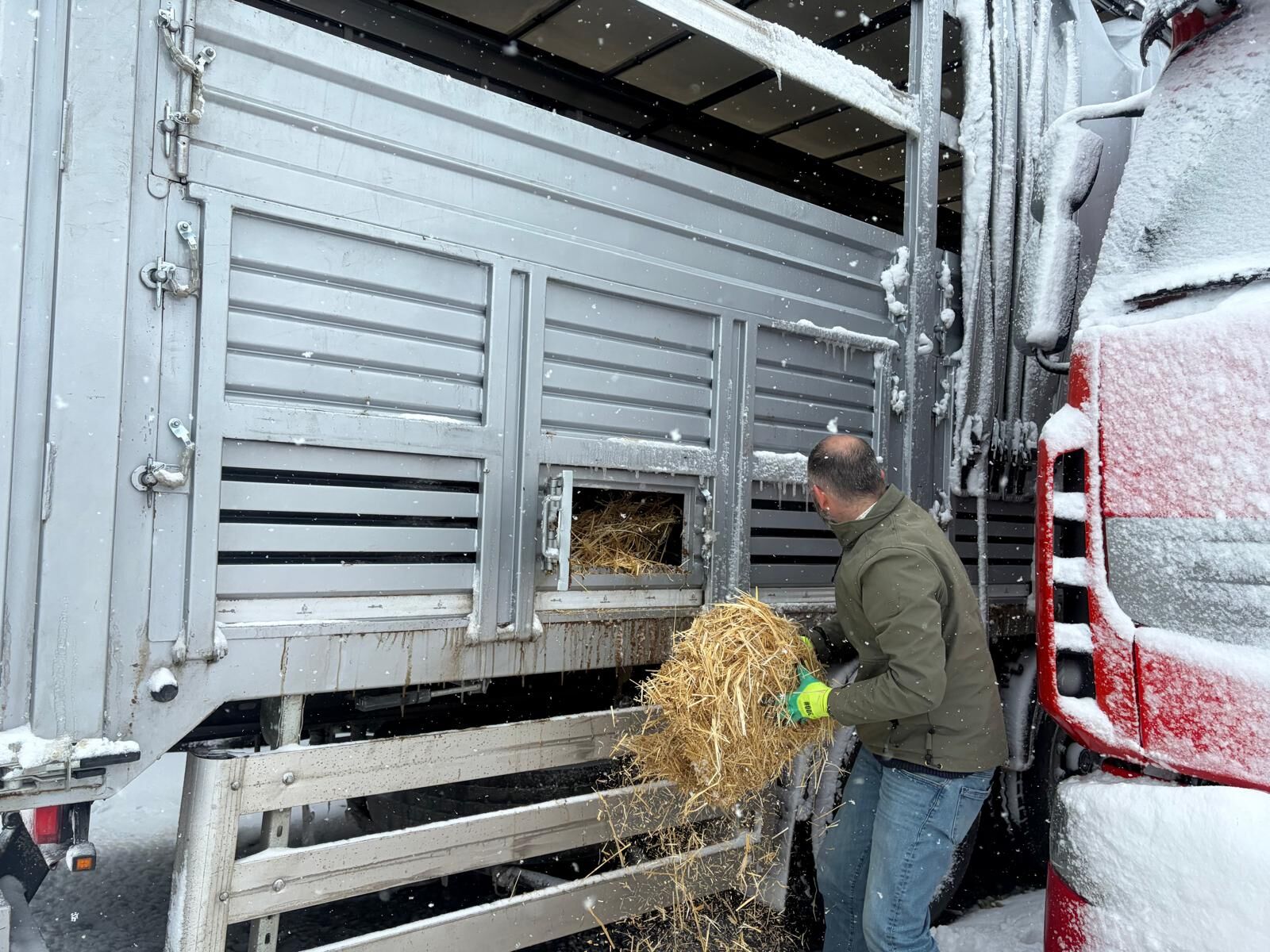 Yolda Kalan Hayvanlara Yem Desteği (5)