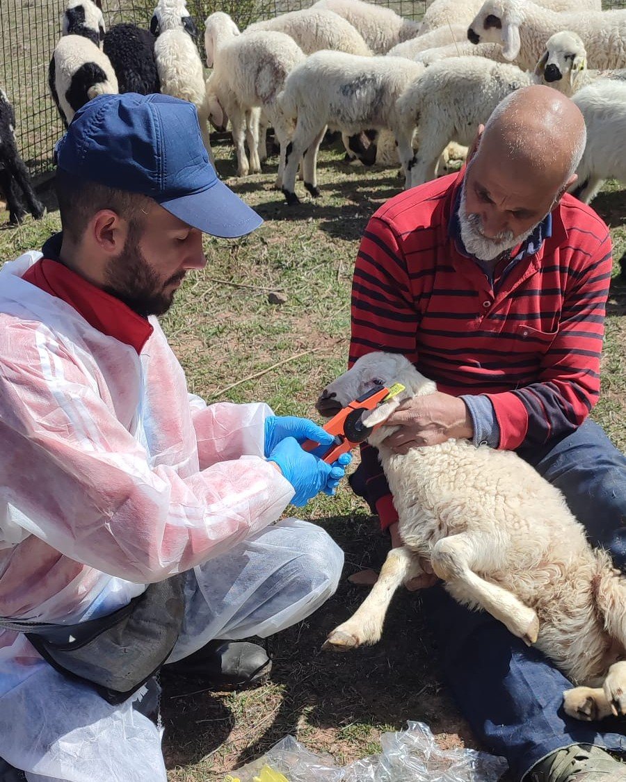 674142570 1401551265336720 4682862340929089860 N