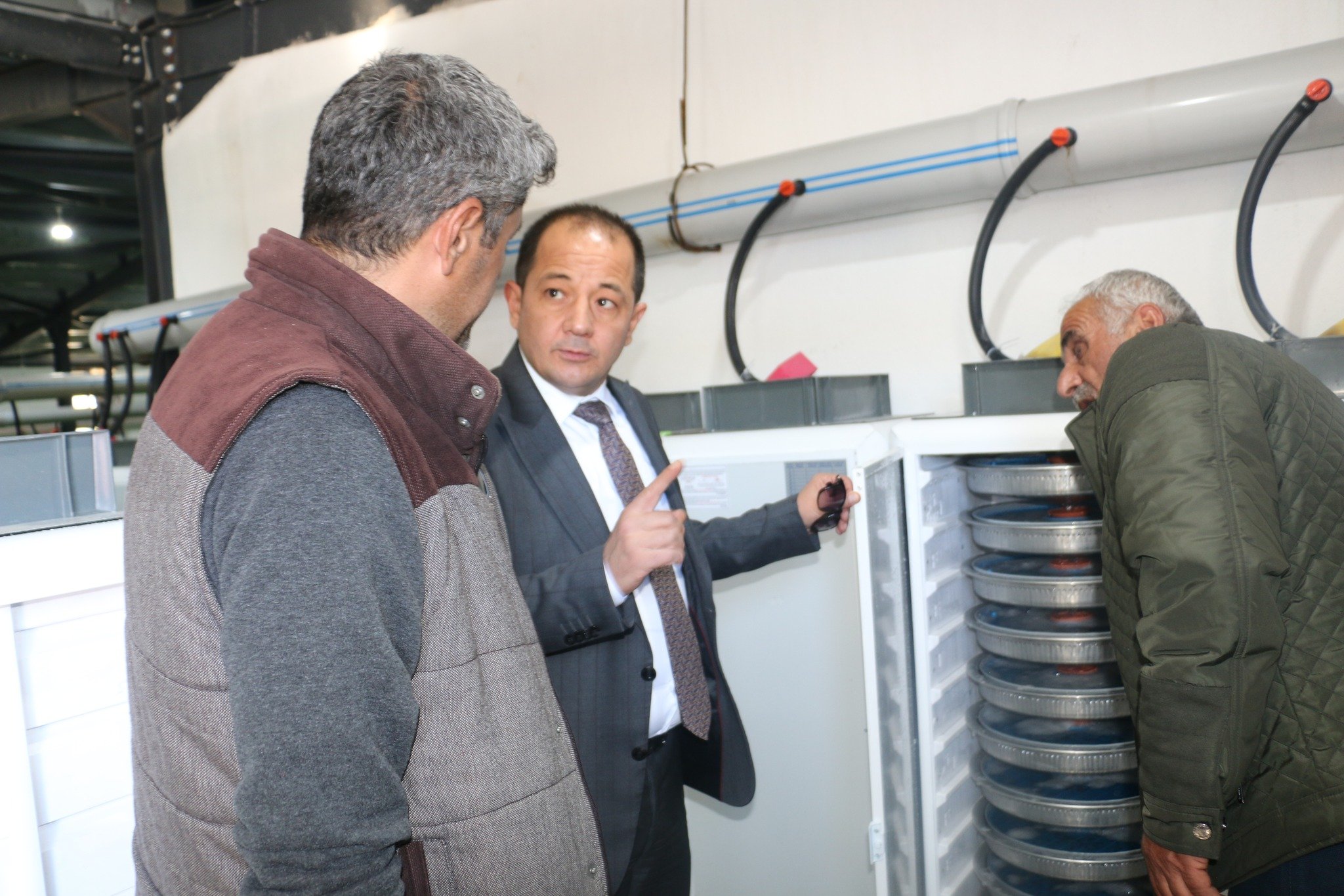 Alabalık Tesisi Çayırlı (2)