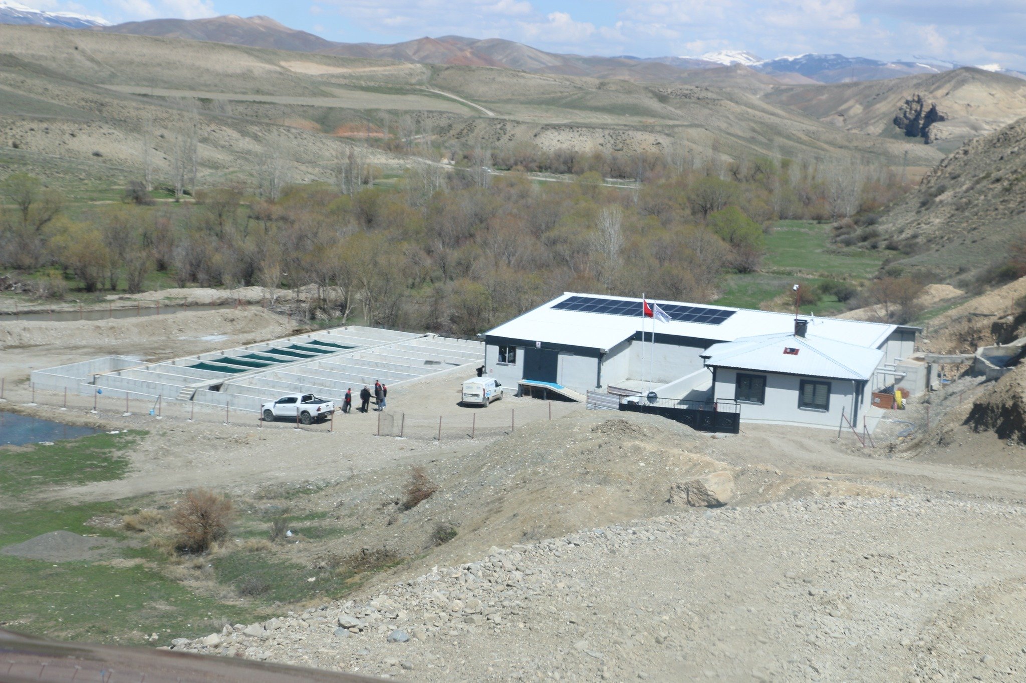 Alabalık Tesisi Çayırlı (4)