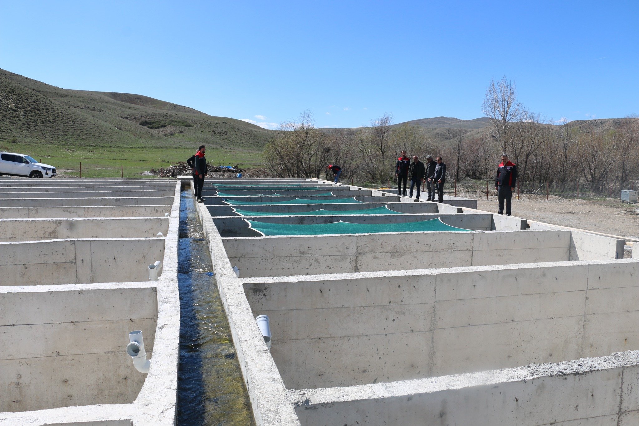 Alabalık Tesisi Çayırlı (7)